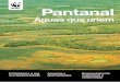 Pantanal - d3nehc6yl9qzo4.cloudfront.netd3nehc6yl9qzo4.cloudfront.net/downloads/factsheet_port_web_1.pdf · mundo”. Visão do WWF para ... O WWF trabalha pela conservação do Pantanal,