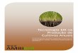 Tecnologia EM na Produção de Cultivos Anuais · 2009-02-20 · de produção das culturas anuais. ... no cultivo de culturas anuais que vão ... • Aumenta a resistência natural