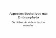 Aspectos Evolutivos nas Embryophyta - geocities.ws · •Muitas espécies sequer possuem tecidos condutores Æ ... Novidades evolutivas no ciclo de vida das Gimnospermas • (Óvulo)