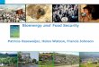 Bioenergy and Food Security - Fapesp · Bioenergy and Food Security Working Group ... • Mateus Batistella, Embrapa, Campinas/SP, Brazil • Luis A.B. Cortez, University of Campinas-UNICAMP,