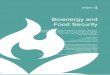Bioenergy and - BIOEN FAPESPbioenfapesp.org/scopebioenergy/images/chapters/bioen-scope_chapter... · Bioenergy and Food Security Patricia Osseweijer*a†, Helen K. Watson*b‡, Francis