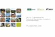 LACIS – Laboratório do Ambiente Construído, Inclusão e Sustentabilidade ... · LACIS Ambiente Construído, Inclusão e Sustentabilidade FAU/CDS/FGA – Laboratório do -UNB