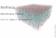 Membrana Celular - azevedolab.netazevedolab.net/resources/biofisica4.pdf · A principal função da membrana celular é manter moléculas tão diversas como proteínas e pequenos