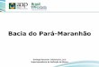 Bacia do Pará-Maranhão - rodadas.anp.gov.brrodadas.anp.gov.br/arquivos/Round11/Seminarios_r11/tec_ambiental/... · 200 100 M.a. Tempo Geológico MESOZÓICO CENOZÓICO Elementos