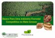 Bases Para Uma Indústria Florestal Competitiva no Mato Grosso · • Colheita / Transporte / Logística – Sistema de colheita e transporte que ... DA BASE FLORESTAL ATÉ O MERCADO
