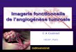de l’angiogénèse tumroale - Ektopic Imag angiogenese DES cuenod.pdf · Regional blood perfusion (ml/min/100ml) ... –Des composantes tissulaires statiques: myoglobine, fibrose,