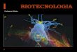 A biotecnologia é um processo tecnológico que permite a ...profiva.dominiotemporario.com/doc/Genetica9.pdf · A biotecnologia é um processo tecnológico que permite a utilização
