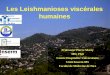 Les Leishmanioses viscérales humaines - imea.fr · La Leishmaniose Méditerranéenne à L. infantum Notion de séjour en zone d’endémie . Incubation de quelques semaines à plusieurs