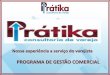 PROGRAMA DE GESTÃO COMERCIAL - pratikavarejo.com.brpratikavarejo.com.br/site/wp-content/uploads/2014/11/2.-BRIEFING... · SINTESE DO TRABALHO NA ÁREA DE CONTROLADORIA ( Controle