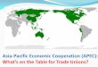 Asia-Pacific Economic Cooperation (APEC): What’s on the ... · counterweight to ABAC & give workers’ voice in APEC processes. Slow but growing impact – Despite weak representation