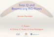 Susy Q and Boomerang RG Flows - physik.uni-wuerzburg.de · •Boomerang” RG ﬂows UV IR AdS • Can have intermediate scaling • Singularity resolving mechanism • Can preserve