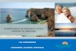 INDEPENDENT RETIREMENT LIVING OPTIONS IN PARADISE · PDF fileINDEPENDENT RETIREMENT LIVING OPTIONS IN PARADISE LIO CONFERENCE ... Searching for a new home: ... One of few long-term