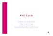 Cell Cycle - Sprague High notes.pdf  Cell Cycle Limits to Cell Size The Cell Cycle Regulating the