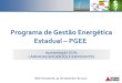 Programa de Gestão Energética Estadual PGEE©trica/programa... · Alta Pressão Vapor Metálico X Vapor de Sódio Agenda das Lâmpadas Ações do Programa de Gestão Energética