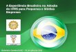 A Experiência Brasileira na Adoção do IFRS para Pequenas e ... Seminario Balneario Camboriu/2 BRASIL... · IFRS para PMEs - Brasil O padrão IFRS é adotado, atualmente, por cerca