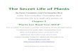 The Secret Life of Plants - Imune Life of... · The Secret Life of Plants By Peter Tompkins and Christopher Bird Letter from Coauthor Christopher Bird Constitutes the First Draft