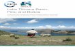 Lake Titicaca Basin: Peru and Bolivia · BRIDGE Case Study –Lake Titicaca Basin: Peru and Bolivia 1 LAKE TITICACA BASIN: P ERU AND BOLIVIA Enhancing transboundary cooperation through