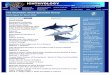The IUCN/SSC Shark Specialist Group - University of Floridaufdcimages.uflib.ufl.edu/UF/00/09/04/96/00014/Binder14.pdf · Alberto Amorim Bycatch and Lost ... all freshwater stingrays