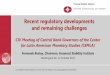 Recent regulatory developments and remaining challenges · Recent regulatory developments and remaining challenges. CIV Meeting of Central Bank Governors of the Center for Latin American