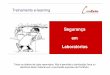 Segurança em Laboratórios - comexito.com.brcomexito.com.br/segurancalaboratorio/SLMOD1.pdf · Segurança em Laboratórios. Perguntas básicas e fundamentais para determinar o grau