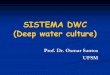 SISTEMA DWC (Deep water culture) - atividaderural.com.bratividaderural.com.br/artigos/505cb572accd3.pdf · Necessidade de aeração da solução. Maior incidência de algas. Maior