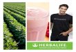 Herbalife no Mundoedge.myherbalife.com/vmba/media/4D46D39D-24FD-4017-856B-5FC0F1F57... · ul e Central Brasil ... nutrição e gerenciamento de peso do mundo e a melhor oportunidade