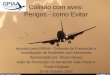 Colisão com aves: Perigos - como Evitarapooa.com/site/images/PDF/BirdStrikes-Apresentao_PDL_2015.pdf · 1º - A investigação de segurança de acidentes e incidentes na aviação
