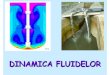 Curs 07 - Dinamica fluidelor - .Introducere o Dinamica fluidelor studiazƒ micarea fluidelor i