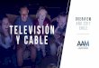 Hitos en la audiencia - aam.claam.cl/wp-content/uploads/2018/07/Overview-Television-2017_AAM.pdf · - La televisión continúa siendo un medio de comunicación que por excelencia