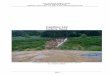 Capítulo 134 Debris flow) - PlinioTomaz · Engenheiro Plínio Tomaz 6 de julho de 2012 ... inundações pela diminuição da seção do canal. ... altas concentrações em intermitente