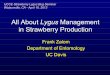 All About Lygus Management in Strawberry Productionucanr.edu/sites/zalomlab/files/250148.pdf · All About Lygus Management in Strawberry Production Frank Zalom Department of Entomology