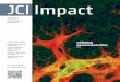 Impact - asci_content_assets.s3.amazonaws.com · the journal of clinical investigation jci.org/impact november 2013 1 The JCI’s Editorial Board is composed of peer scientists at