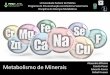Metabolismo de Minerais Camila Pizoni - ufpel.edu.br · Pressão osmótica Ação hormonal ... fluidos e tecidos Espaço intracelular (maior parte) ... Regulação ainda não