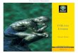 The Aquarian Theosophist -  · Edições do Senado Federal – Vol. 52 OM UNDO I NTERIOR Ensaio sobre os dados gerais da filosofia do espírito Farias Brito Brasília – 2006 The
