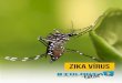 zika vírus - biologiatotal.com.br · A Zika é uma doença causada pelo zika vírus e transmitida através da picada do mosquito Aedes aegypti (assim como acontece com a febre amarela,
