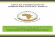 N AFRICAN CACHPROMMISSION ON - African Commission on … · understood as persons offemale sex including girls, ... African Charter, the Protocol to the African Charter on Human and