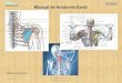 Manual de Anatomia Geral - massagempro.com de Anatomia_Sistema_Nervoso... · através de impulsos nervosos. MassagemPro Índice. Generalidades sobre o Sistema Nervoso > Funções
