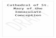 smcaustin.org Server Training Manual...  · Web viewCathedral of St. Mary of the Immaculate Conception. Novus Ordo Altar Server Training Manual