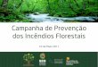Campanha de Prevenção dos Inc ndios Florestais - BP · 1. valorizar a floresta com enfoque na vertente económica e na sustentabilidade; 2. integrar a campanha de Prevenção dos