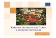 Reforma do sector das frutas e produtos hortícolasec.europa.eu/agriculture/fruit-and-vegetables/policy-reports/slide... · O orçamento da União Europeia financia actualmente as