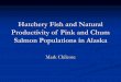 Hatchery Fish and Natural Productivity of Pink and Chum ... · Hatchery Fish and Natural Productivity of Pink and Chum Salmon Populations in Alaska Mark Chilcote
