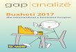 Buxheti 2017 - GAP analize buxheti WEB (2).pdf · gap prill 2017 analizë € Buxheti 2017 dhe rekomandimet e Komisionit Evropian