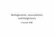Notogenesis, neurulation, somitogenesisvyuka-data.lf3.cuni.cz/CVSE1M0001/508 notogenesis, neurulation... · 3. neural tube 4. somites . ... •E-cadherin expression decreases in epiblast