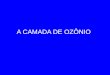 A CAMADA DE OZÔNIO - ib.unicamp.br20-%20NE441%20%202013/1a%20AULA/... · The ozone layer is a layer of ozone gas which surrounds the Earth some 15 to 35 km above its surface in the