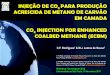 INJEÇÃO DE CO2 PARA PRODUÇÃO ACRESCIDA DE METANO DE CARVÃO ... injection_CBM_C.Rodrigues... · injeÇÃo de co 2 para produÇÃo acrescida de metano de carvÃo em camada co 2