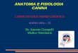 ANATOMIA E FISIOLOGIA CANINA - csengrosseto.it · ANATOMIA E FISIOLOGIA CANINA CORSO DI EDUCATORE CINOFILO ANNO 2014 - 15 Dr. Antonio Ciampelli Medico Veterinario