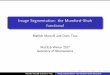 Image Segmentation: the Mumford Shah functionalmatilde/MumfordShahSlides.pdf · Image Segmentation: the Mumford{Shah functional Matilde Marcolli and Doris Tsao Ma191b Winter 2017