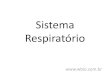 Sistema Respirat³rio - .Sistema Respirat³rio . Anatomia sistema respirat³rio . Faring. Bronquio