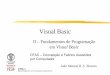 Visual Basic - web.fe.up.pttavares/ensino/CFAC/Downloads/Apontamentos/... · Visual Basic II – Fundamentos de Programação em Visual Basic João Manuel R. S. Tavares. CFAC –