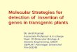 Molecular Strategies for detection of insertion of genes in transgenic ... Dr.Anil... · Molecular Strategies for detection of insertion of genes in transgenic plants Dr Anil Kumar